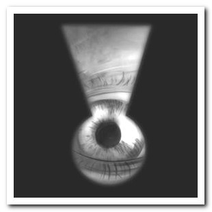 Hidden Camera Recorder App